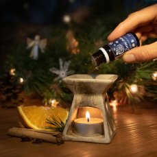 Zimné snenie - Vianočný BIO esenciálny olej - Tierra Verde